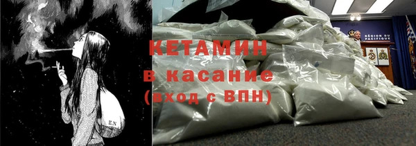 трава Ельня
