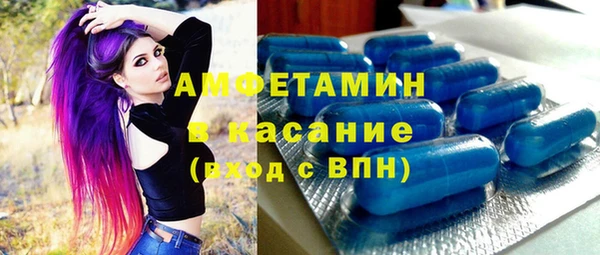 трава Ельня